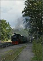 Mecklenburg-Vorpommern/188379/ruebb-99-1784-in-goehren-16 RBB 99 1784 in Ghren. 
16. Sept. 2010