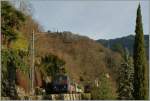 GoldenPass/268618/kurz-vor-montreux-sonnt-sich-der Kurz vor Montreux sonnt sich der der talwrts fahrende Zahnradbahnzug unter Palmen.
23. Dez. 2012