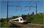 Ein Flirt unter der SNCF Gleichstromfahrleitung. Dies ist nur auf dem SBB Abschnitt Geneve - La Plaine zu sehen, da die Flirts sonst in Frankreich (noch) nicht zugelassen sind.
Bei Russin, den 31. Aug. 2010