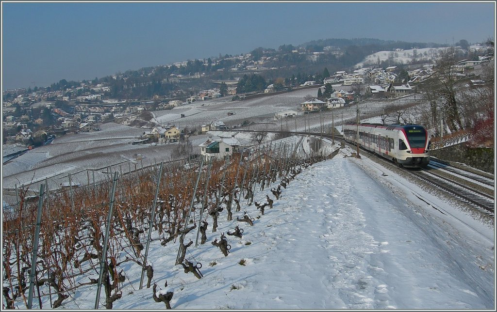Ein Flirt auf der Fahrt Richtung Lausanne in den Weinbergen des Lavaux bei Bossire.
1. Feb. 2012